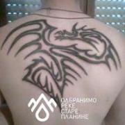 KojadinovicDejan