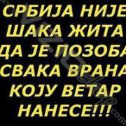 SnezanaGavrilov-Trailovic