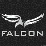 FalconTours