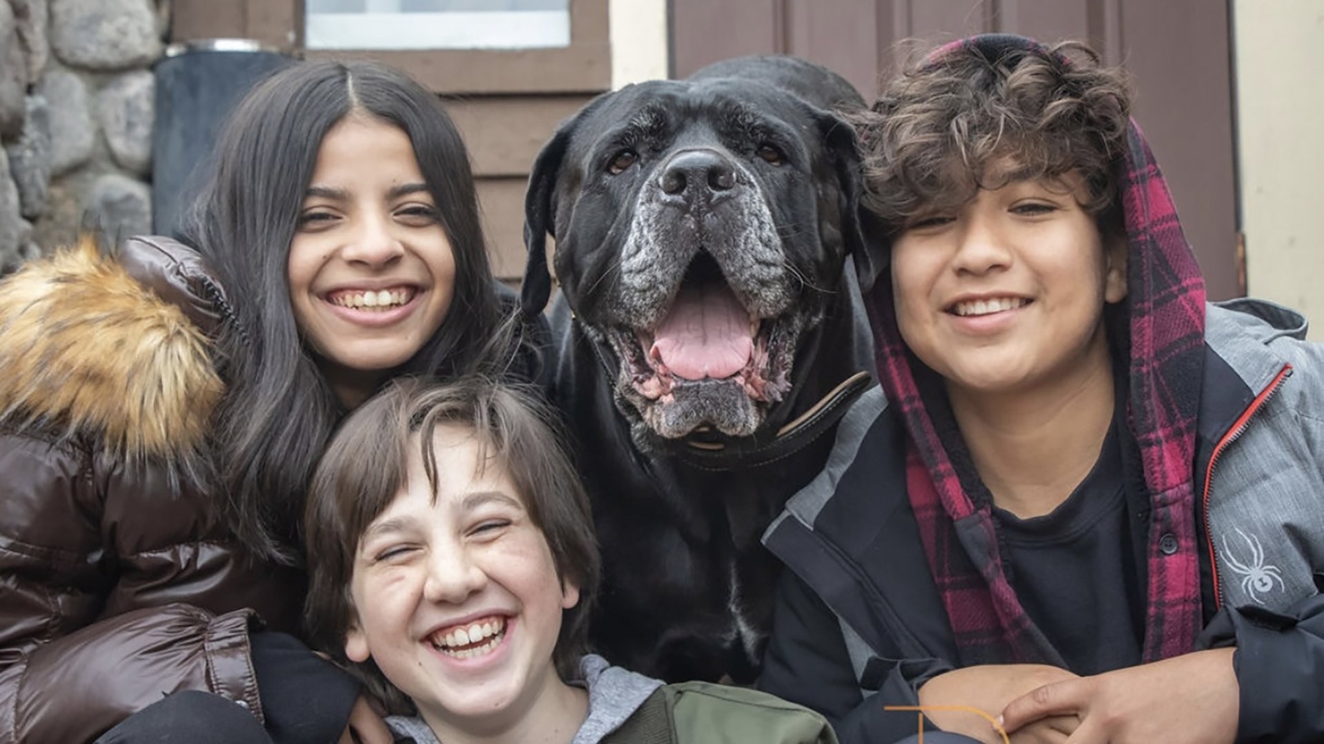 Dog Patrol: Operation Santa Paws (2025)