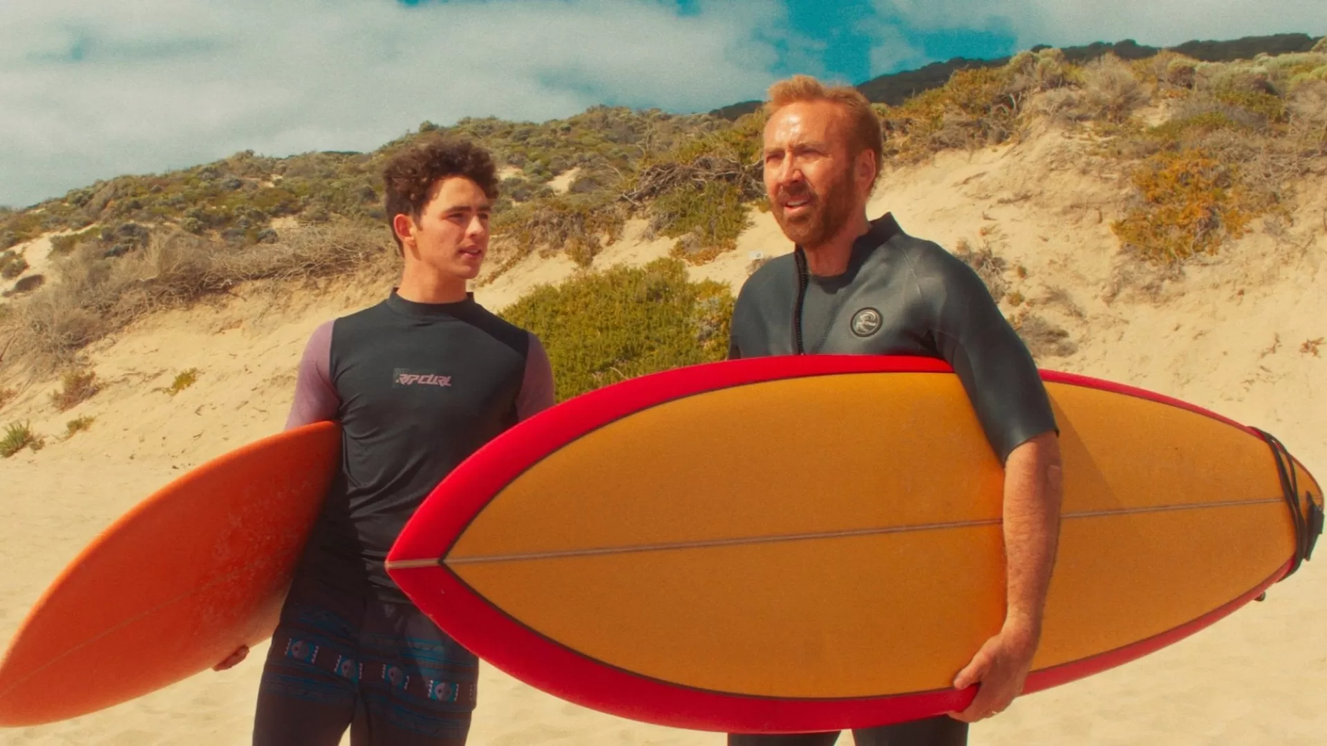 The Surfer (2024)
