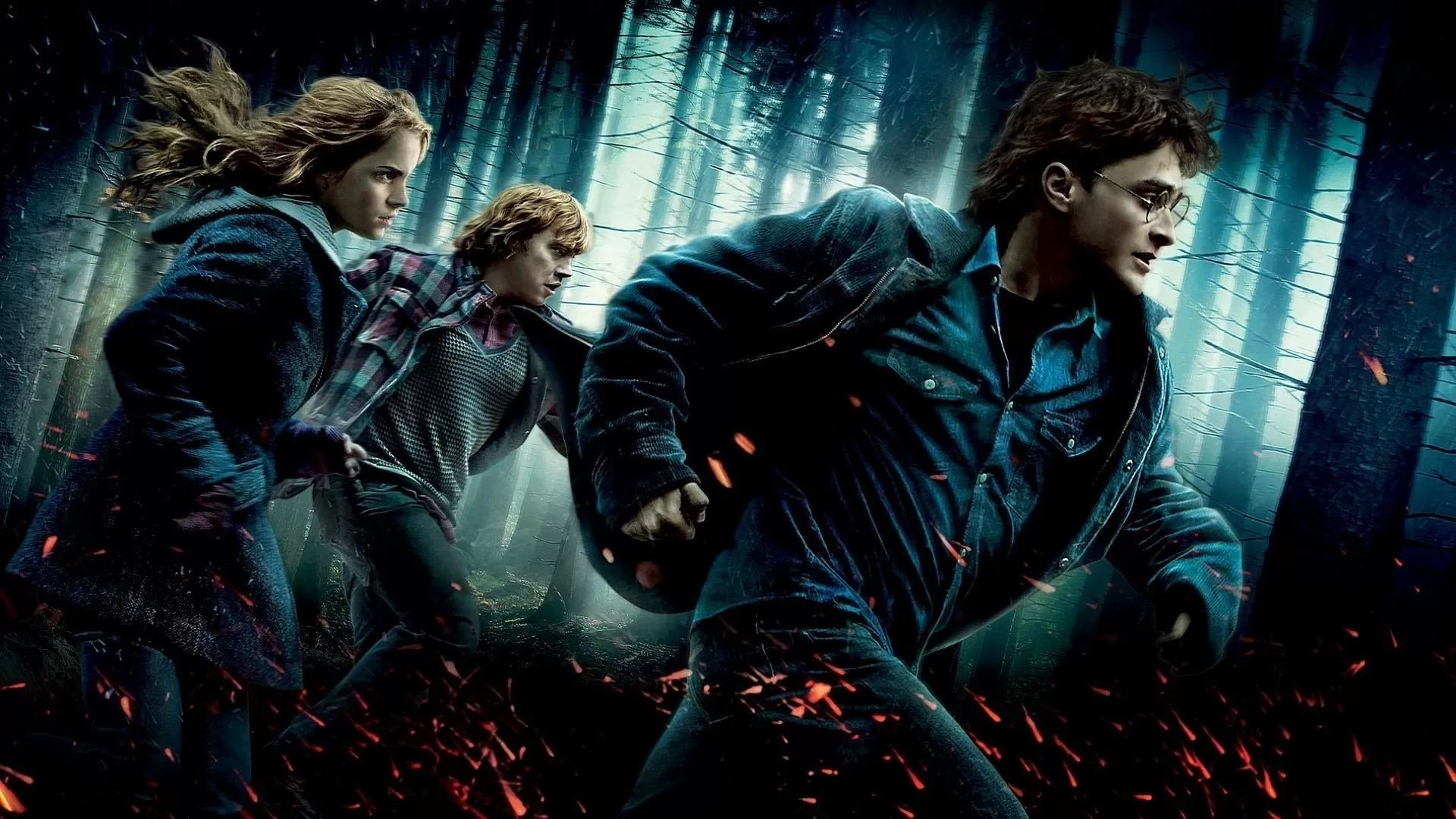 Harry Potter and the Deathly Hallows: Part 1 (2010)