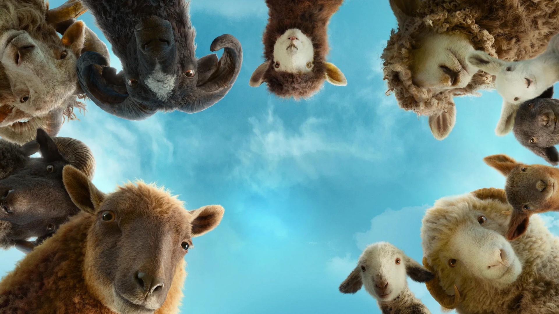 The Sheep Detectives (2026)