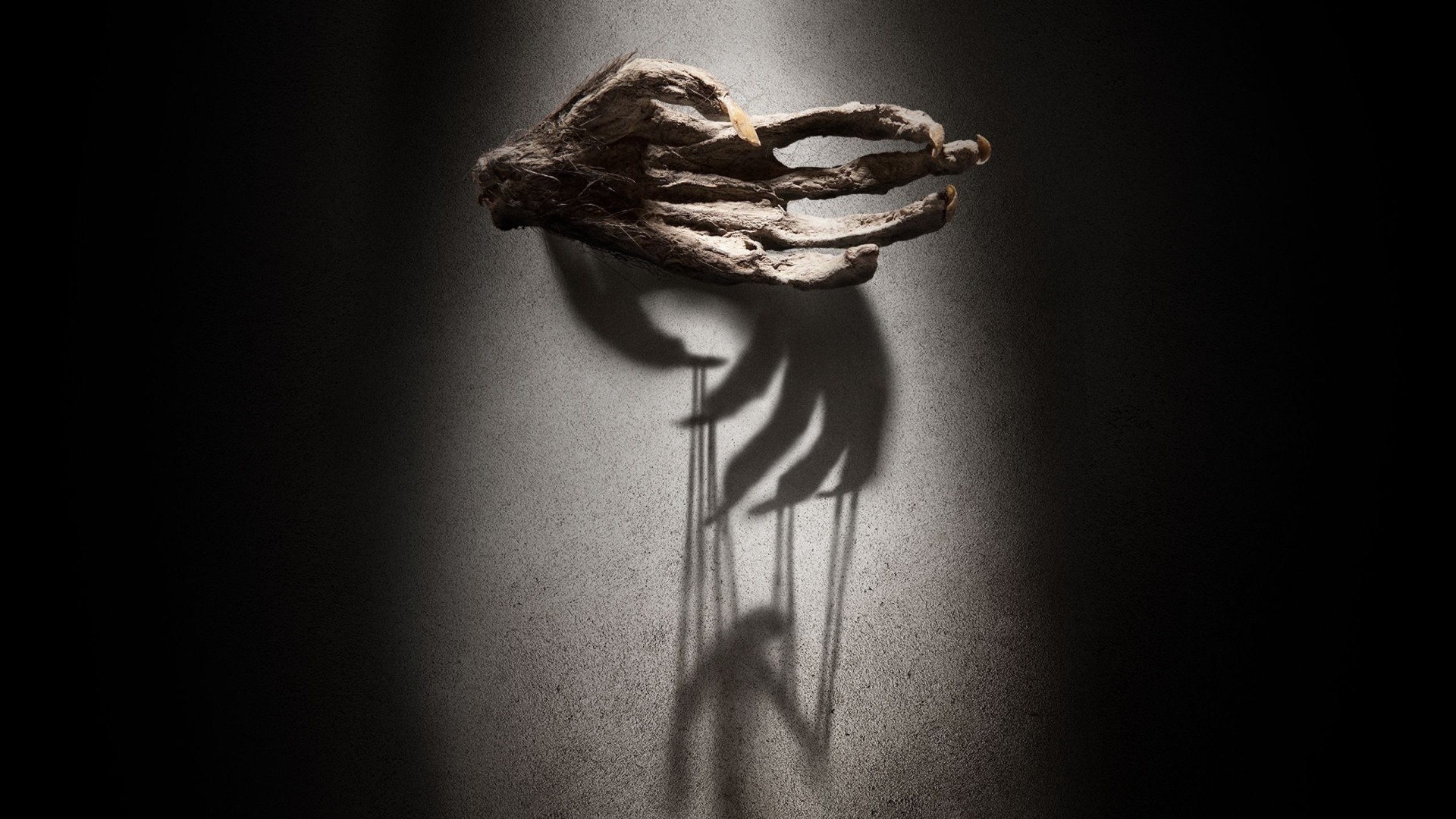 The Monkey's Paw (2013)