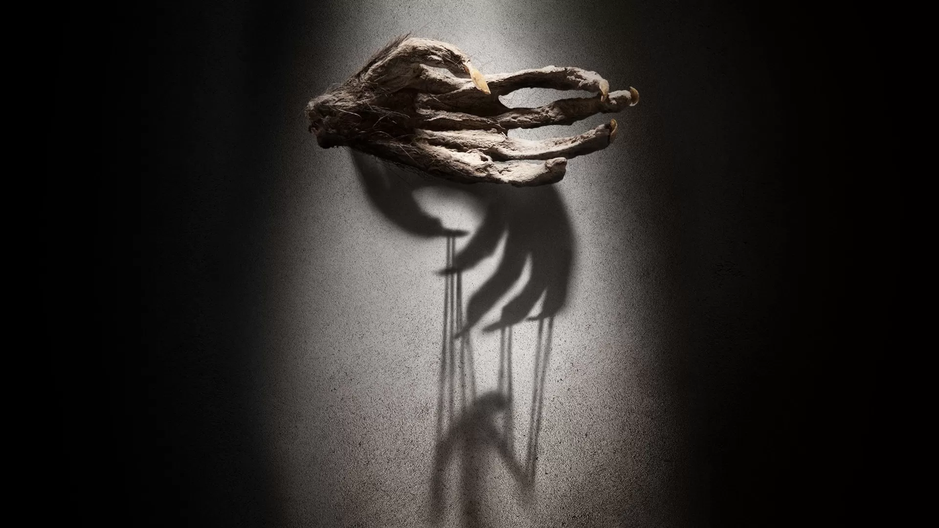 The Monkey's Paw (2013)