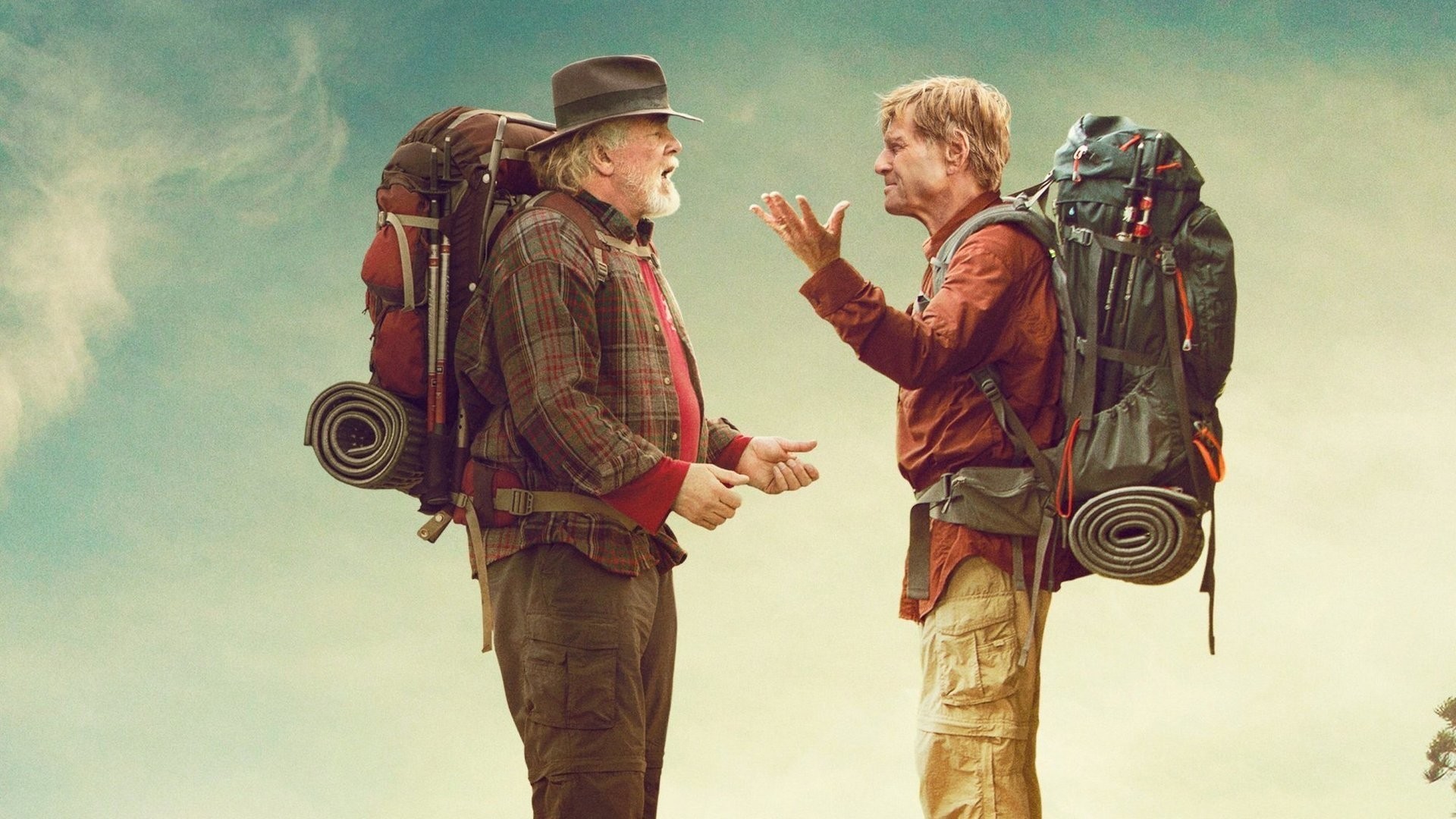 A Walk In The Woods (2015)