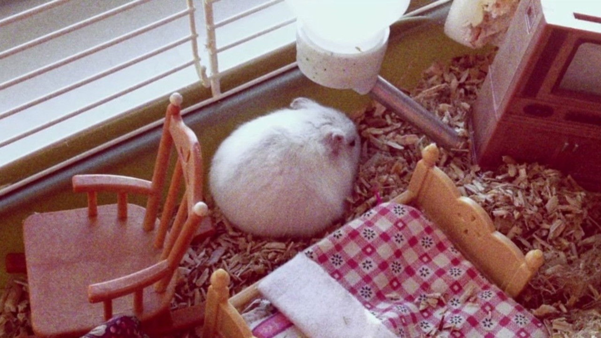 Nymphomaniac: Vol. I (2013)