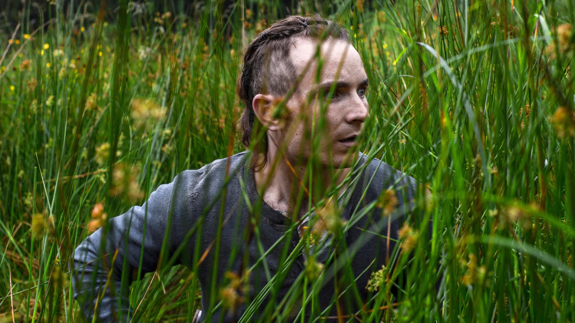 The Survivalist (2016)