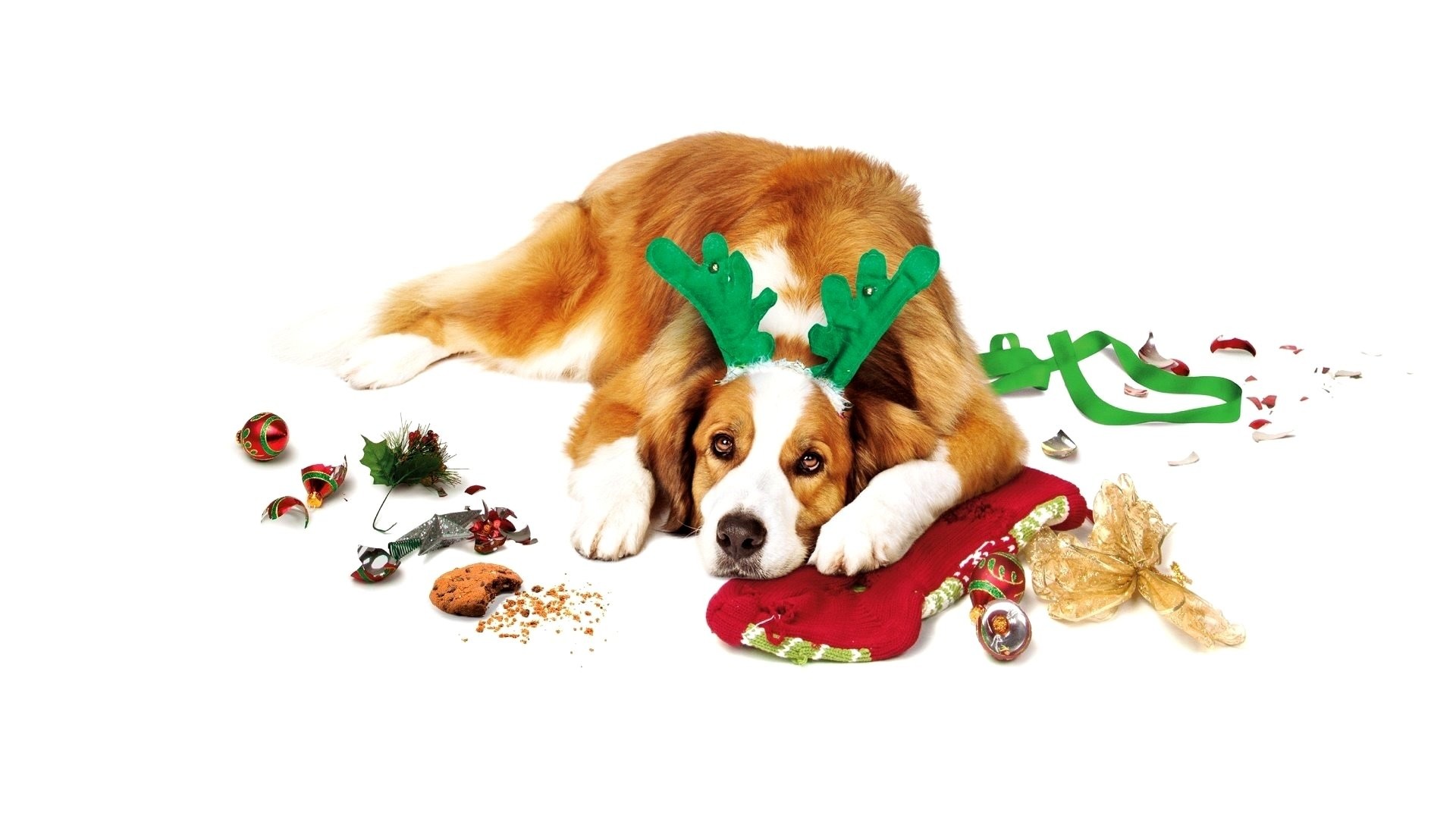 Love the Coopers (2015)