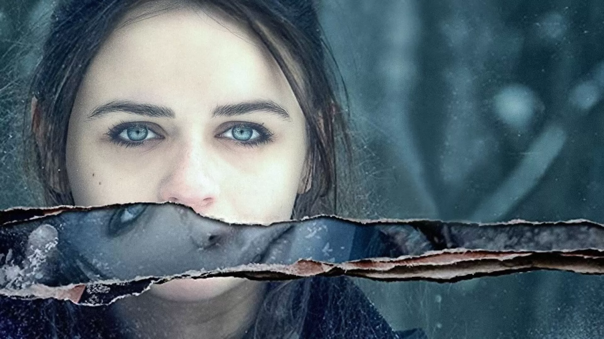 The Lie (2018)