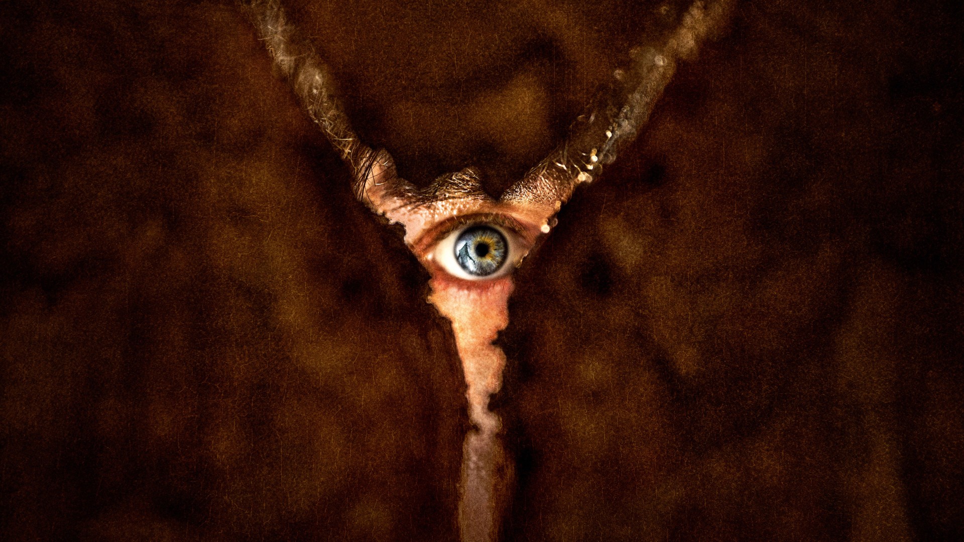 Return to Silent Hill (2026)