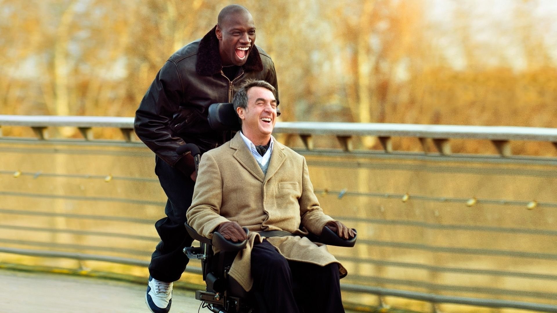 Intouchables (2011)