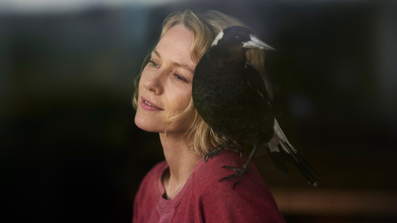 Penguin Bloom (2020)